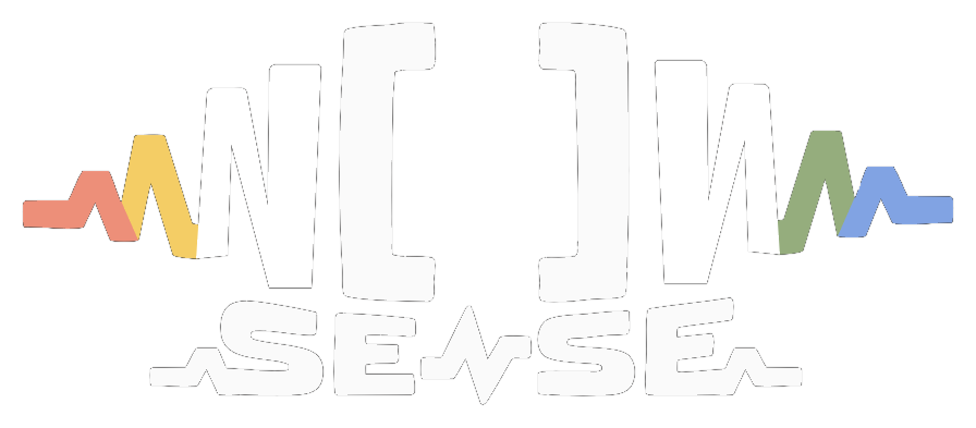 N Sense